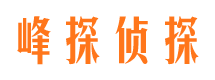 西陵市侦探公司